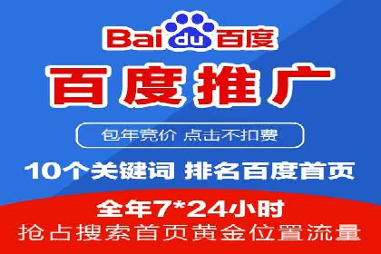 百度广告竞价策略详解：某电商平台的成功案例